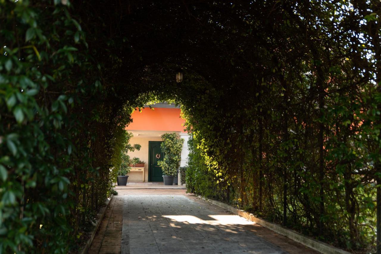 Villa Annamaria Cassino Exterior foto